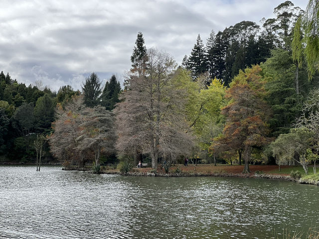 🌿 McLaren Falls Park｜陶朗加後花園的自然療癒地