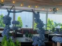 Jeju’s Hidden Gem: Boromwat’s Stunning Hydrangeas 