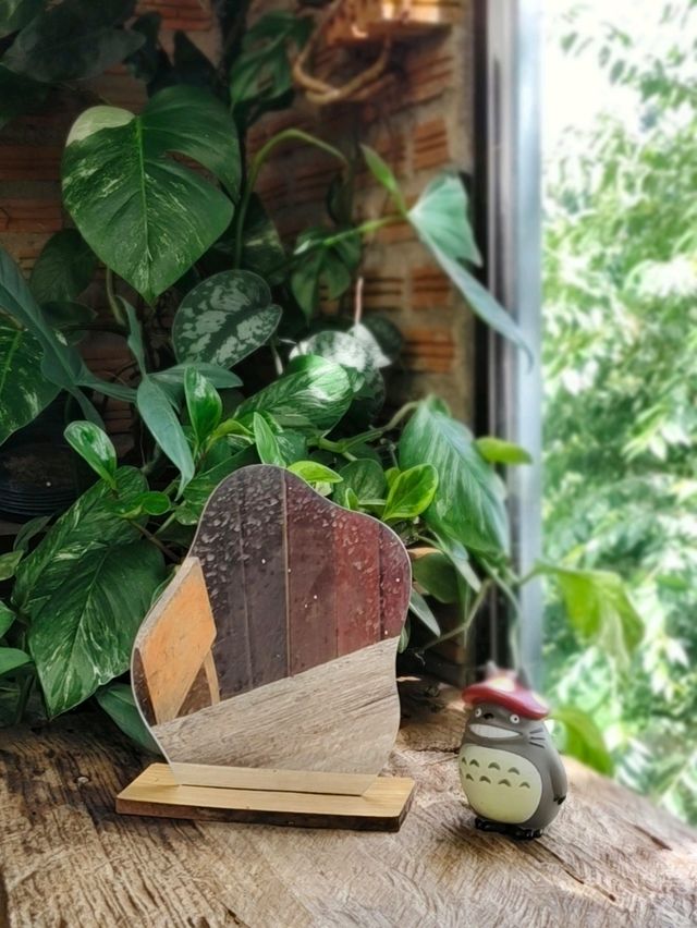 ร้านกาแฟ ,Akipu Coffee 