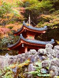 Summer Visit to Otagi Nenbutsuji Temple (愛宕念仏寺) – Kyoto’s Whimsical Stone Buddha Haven** 🗿🌿