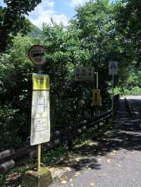 【断崖絶壁の国宝！三徳山投入堂で神秘の冒険旅⛰️】