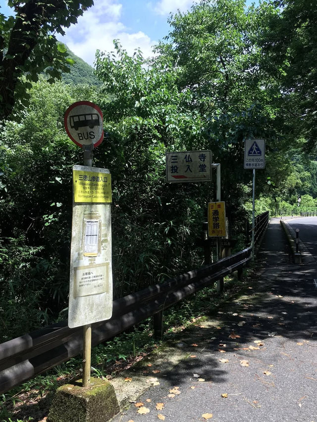 【断崖絶壁の国宝！三徳山投入堂で神秘の冒険旅⛰️】