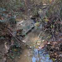 Turkey Mountain Urban Wilderness – Tulsa, OK