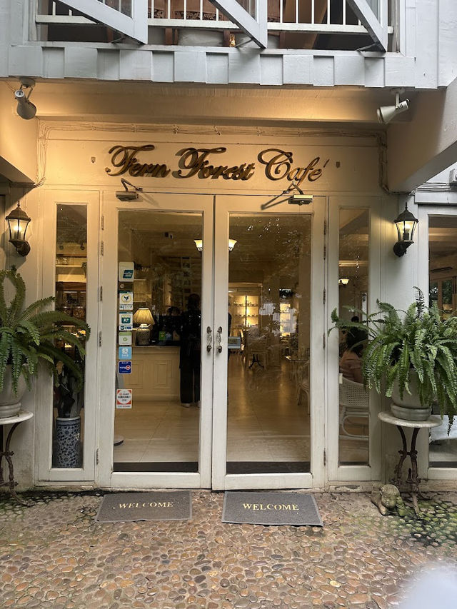 🌿 Fern Forest Café – ป่ากลางเมือง 