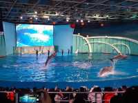 中國青島 青島紅樹林度假世界 沙灘 水族館