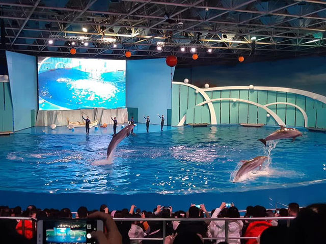 中國青島 青島紅樹林度假世界 沙灘 水族館
