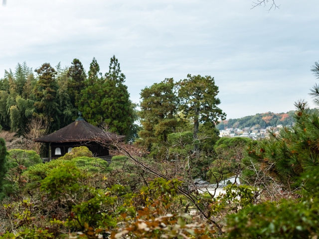 【銀閣寺】静寂の美に包まれる、心落ち着く京都の隠れた名所🌿