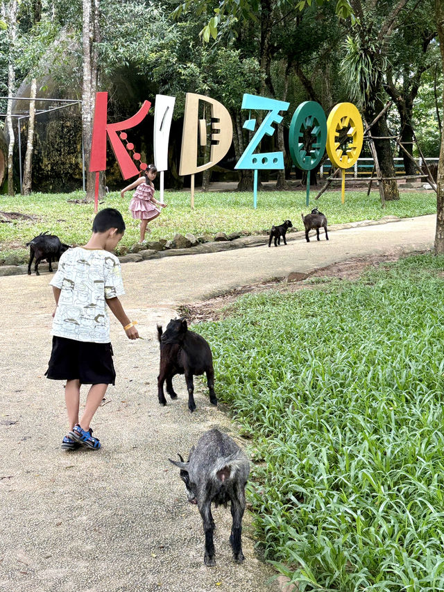 富國島珍珠野生動物園-近距離觀察猛獸，與可愛動物互動餵食