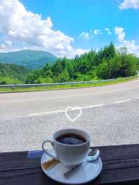 고산지대의 여유 💚장산레스토랑