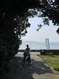 ปั่นจักรยาน หมู่บ้าน Bise-Fukugi (Okinawa) 🌲🚲🐈