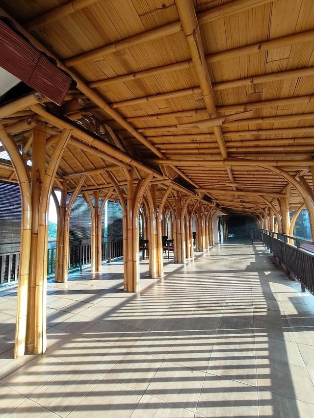 🏋️‍♂️ Rustic Rejuvenation at Sunshine Bali’s Outdoor Gym