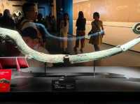 Sanxingdui Museum Is Seriously Mind Blowing