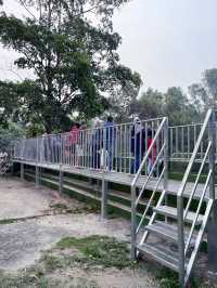 Thrilling Encounters at Crocodile Lake