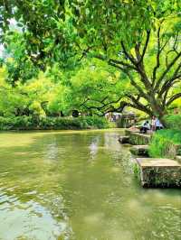 Hangzhou’s Liquid Emerald – Where Canals, Poetry & Biodiversity Coexist