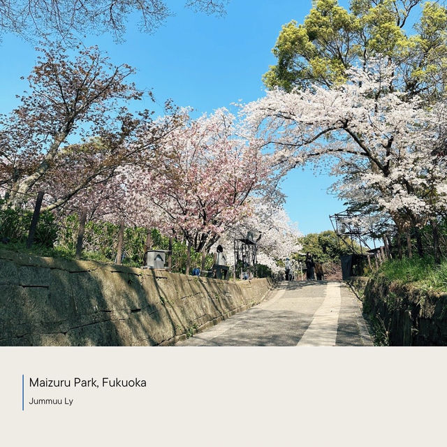 Maizura Park| Fukuoka