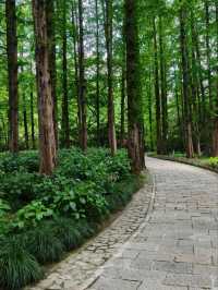 West Lake – The Living Scroll of Hangzhou