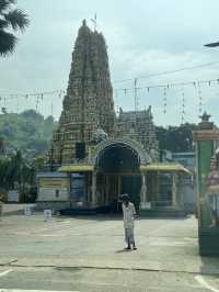 How to spend 6 days in Sri Lanka, country of Peacock