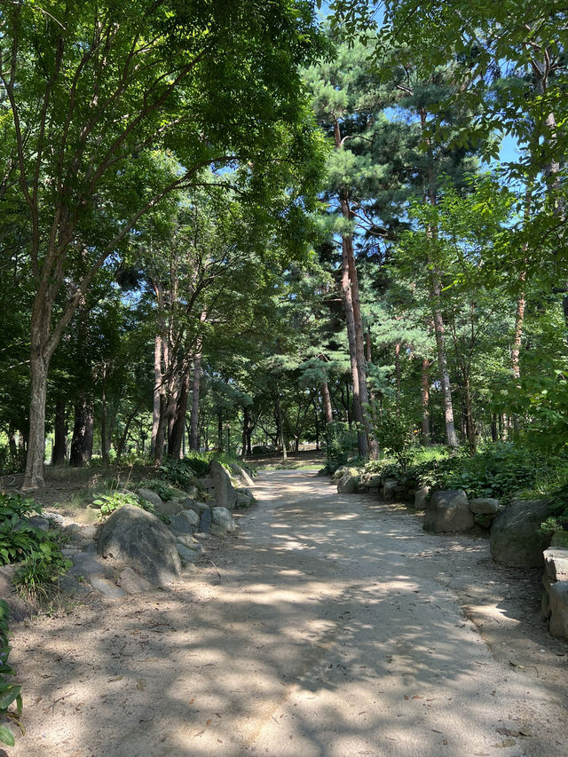 서울숲의 숲길들