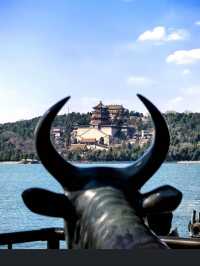 Summer Palace: Where Marble Boats Sink Navy Budgets And Arches Bridge The Dead To Unpaid Labor