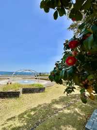 🌊 Matogahama Park – A Seaside Gem by Beppu Bay