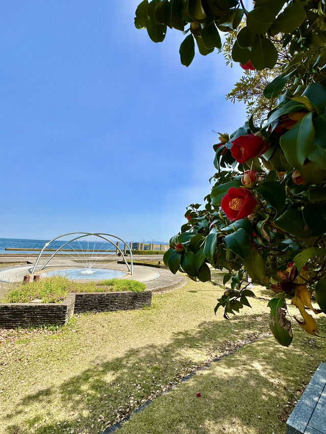 🌊 Matogahama Park – A Seaside Gem by Beppu Bay