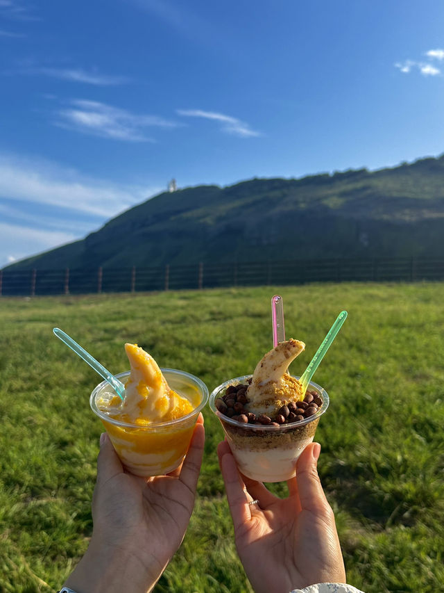 3박 4일 제주 먹여행🍊