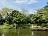 濟州島史努比花園