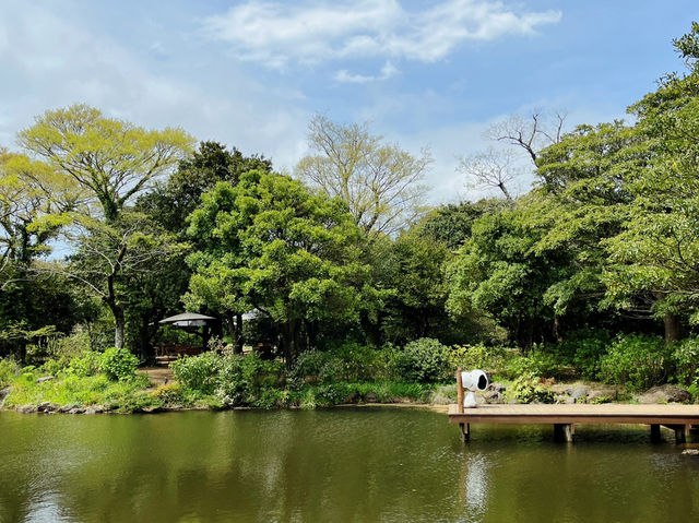 濟州島史努比花園