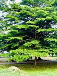 Nature Meets the City at Taman Rekreasi Hiliran