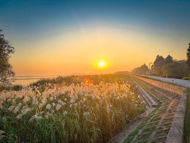 รีวิว Taihu Lake – อู๋ซี (Wuxi)  รีวิว Taihu Lake – อู๋ซี (Wuxi)