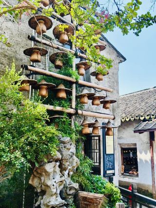 一個美麗而熱鬧的一日遊