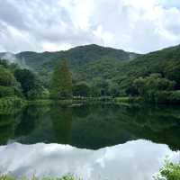 숲속 힐링 감성, 공주 카페 ’엔학고레‘ 🌿