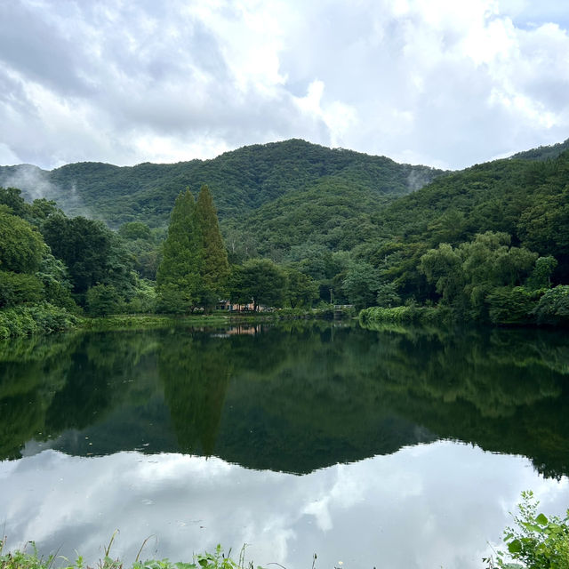 숲속 힐링 감성, 공주 카페 ’엔학고레‘ 🌿