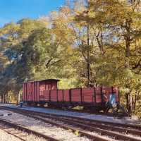 Mokra Gora: A Solo Traveler’s Fairytale Escape in the Serbian Highlands! 🚂🌲