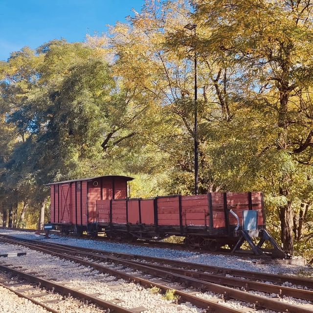 Mokra Gora: A Solo Traveler’s Fairytale Escape in the Serbian Highlands! 🚂🌲