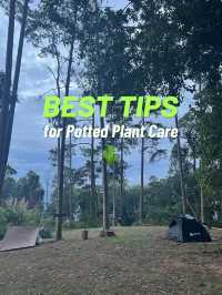 ลานกางเต็นท์ ย.2 ดอยขุนตาล