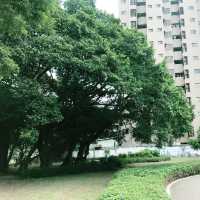 💡台北・西門町の昼間散歩：グルメと信仰とアートをめぐる半日旅