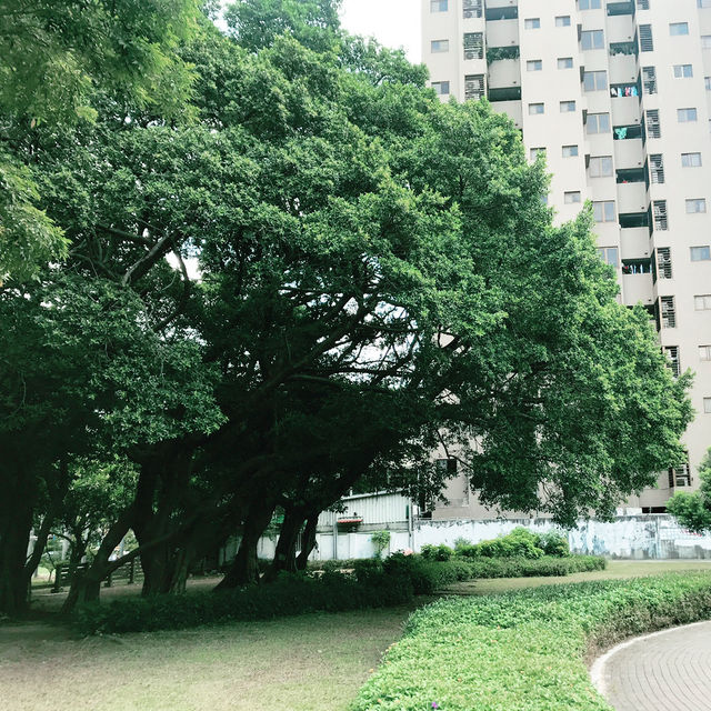 💡台北・西門町の昼間散歩：グルメと信仰とアートをめぐる半日旅