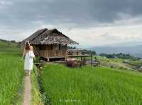 ดาวบ้านดอย โฮมสเตย์ป่าบงเปียง 💚🌾
