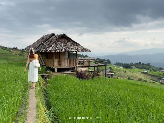 ดาวบ้านดอย โฮมสเตย์ป่าบงเปียง 💚🌾
