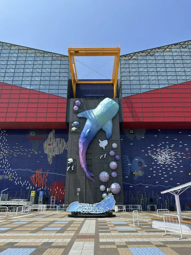 在大阪海遊館的一天:鯨鯊、企鵝與夏日氛圍