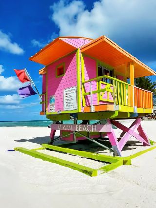 [Miami｜A long letter to freedom from the sun and sea breeze]