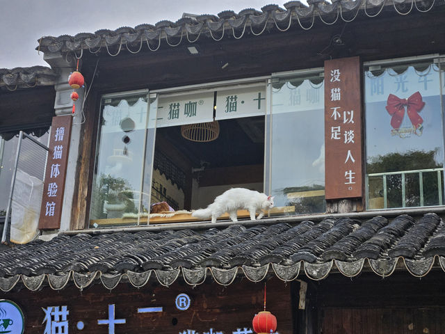 🏮 Pingjiang Road: A Timeless Stroll Through Suzhou’s Ancient Soul 🏮 Pingjiang Road: A Timeless Stroll Through Suzhou’s Ancient Soul