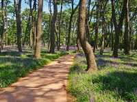 The day is nice for a stroll at Daewangam at Ulsan