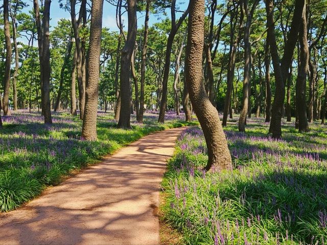 The day is nice for a stroll at Daewangam at Ulsan The day is nice for a stroll at Daewangam at Ulsan