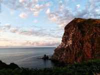 在「夢之浮島」 做了一場美麗的夢