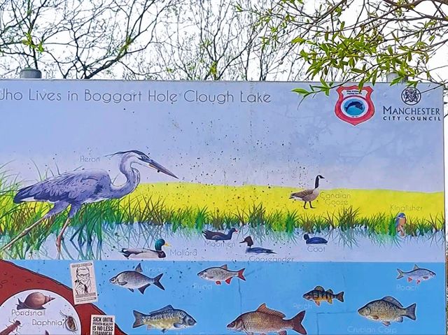 Boggart Hole Clough – Legends and Landscapes