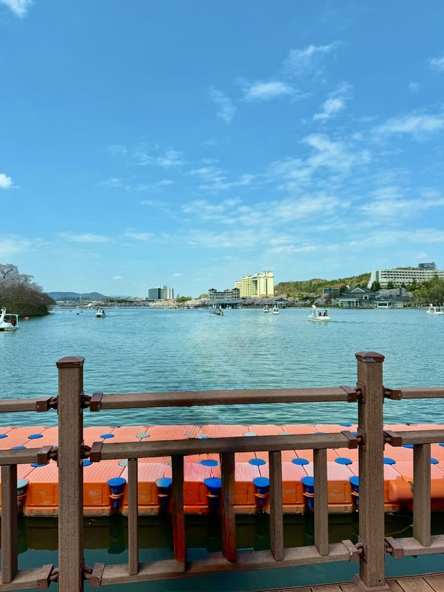 경주 보문호, 호수 위 힐링 산책 💛🌊