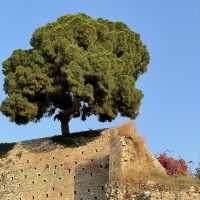 Patras: Greece’s Vibrant Coastal Gem