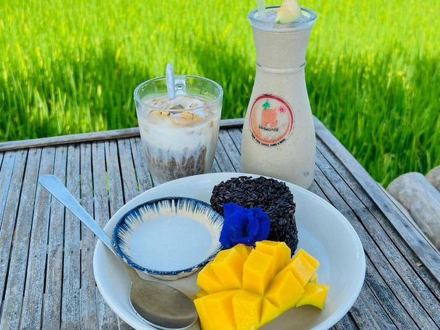 🇻🇳🌾🌾 4 ร้านกาแฟวิวทุ่งนาเขียวจีในฮอยอัน 🌾🌾🇻🇳